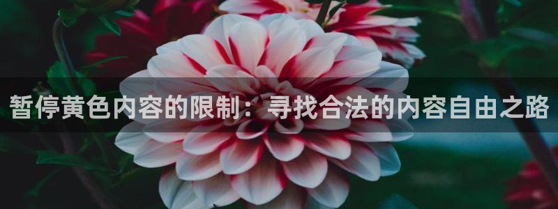 bt动漫天堂：暂停黄色内容的限制：寻找合法的内容自由之路
