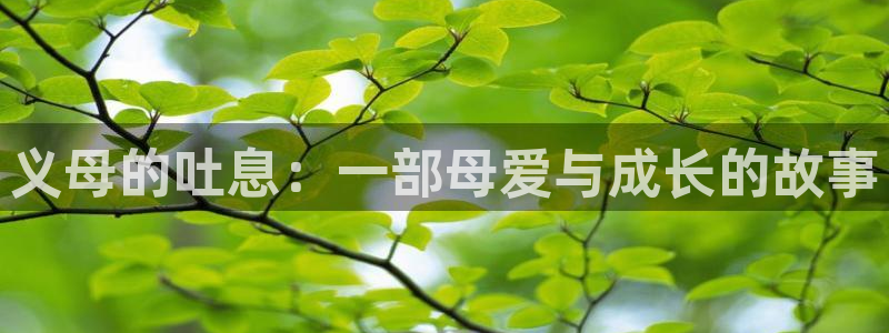 黄动漫天堂：义母的吐息：一部母爱与成长的故事