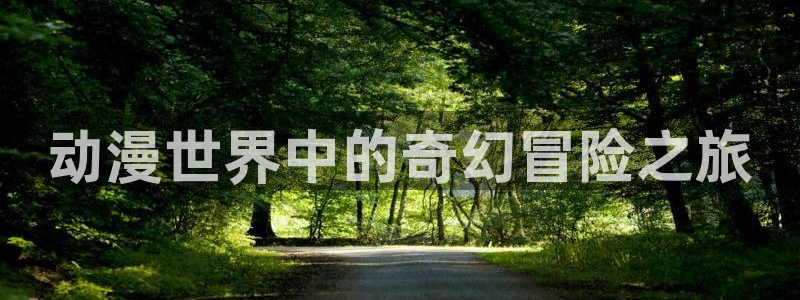 同人动漫天堂：动漫世界中的奇幻冒险之旅