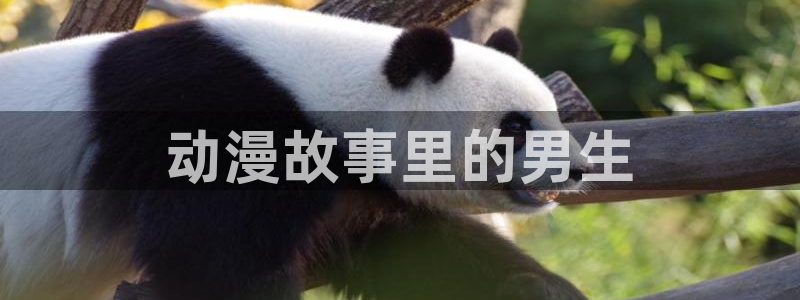 jk动漫天堂：动漫故事里的男生