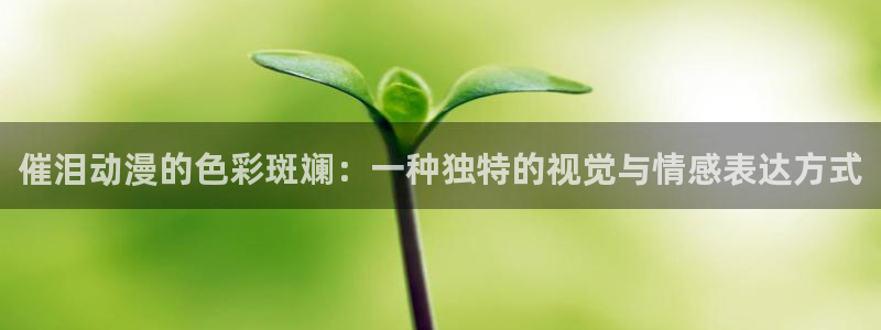 www.动漫天堂：催泪动漫的色彩斑斓：一种独特的视觉与情感表达方式