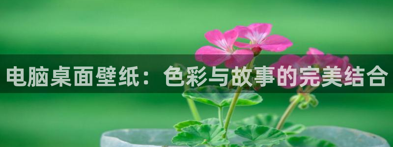 动漫天堂免费在线观看：电脑桌面壁纸：色彩与故事的完美结合