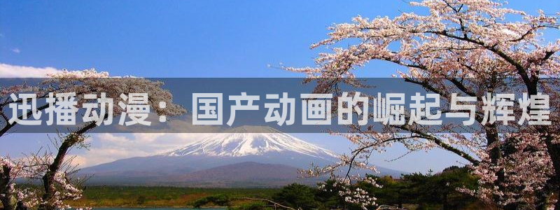 coco动漫天堂：迅播动漫：国产动画的崛起与辉煌