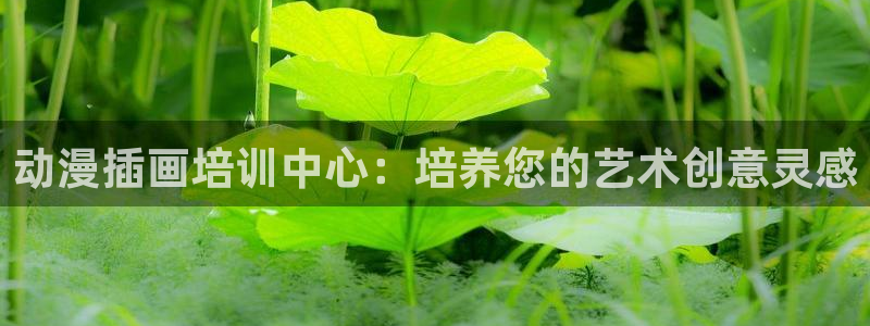 动漫天堂在线：动漫插画培训中心：培养您的艺术创意灵感