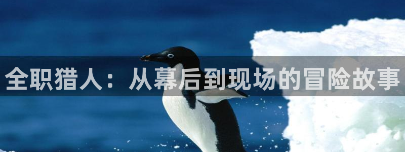 cos动漫天堂官网下载：全职猎人：从幕后到现场的冒险故事