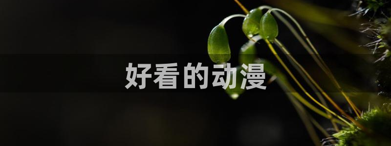 动漫天堂在线免费观看：好看的动漫