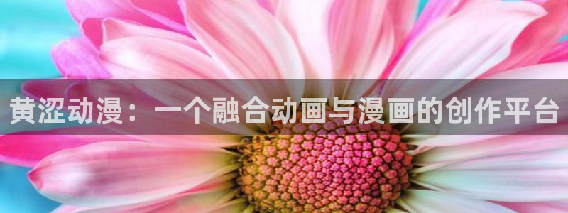 动漫天堂下载：黄涩动漫：一个融合动画与漫画的创作平台