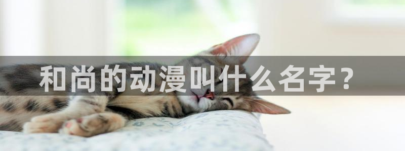 动漫天堂下载：和尚的动漫叫什么名字？