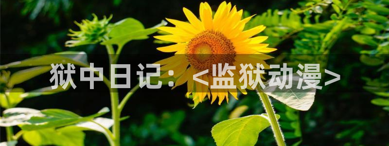 acg动漫天堂：狱中日记：<监狱动漫>
