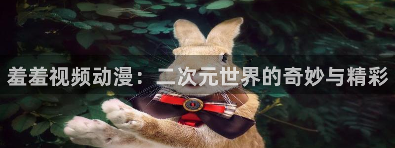 动漫天堂电影：羞羞视频动漫：二次元世界的奇妙与精彩