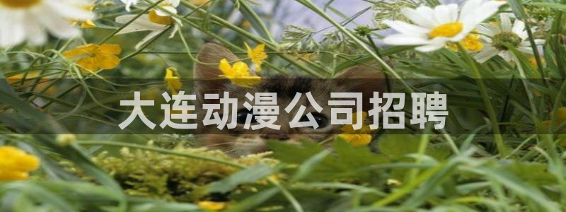 3d动漫天堂：大连动漫公司招聘