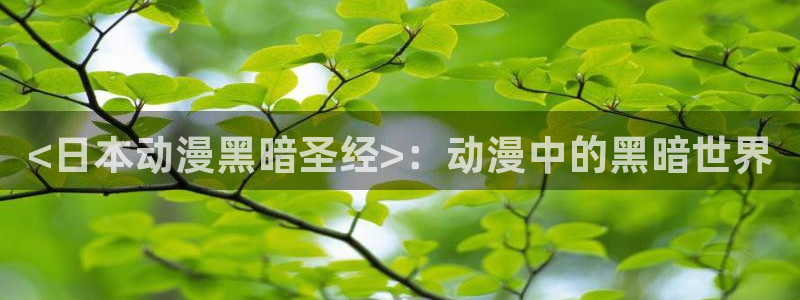 动漫天堂总站：<日本动漫黑暗圣经>：动漫中的黑暗世界