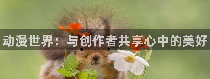番剧推荐动漫天堂.：动漫世界：与创作者共享心中的美好